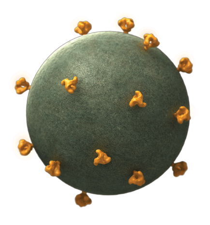 Imagen: Esta imagen tridimensional del VIH muestra las protuberancias de la envoltura en la superficie del virus